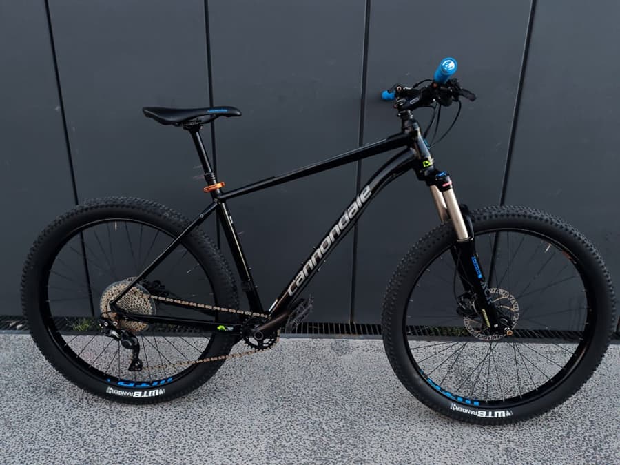 Cannondale CUJO HT ALLOY, foto 1