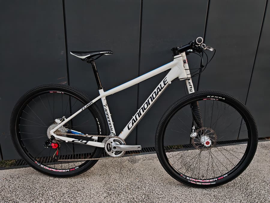 Cannondale FLASH LEFTY 29", foto 1