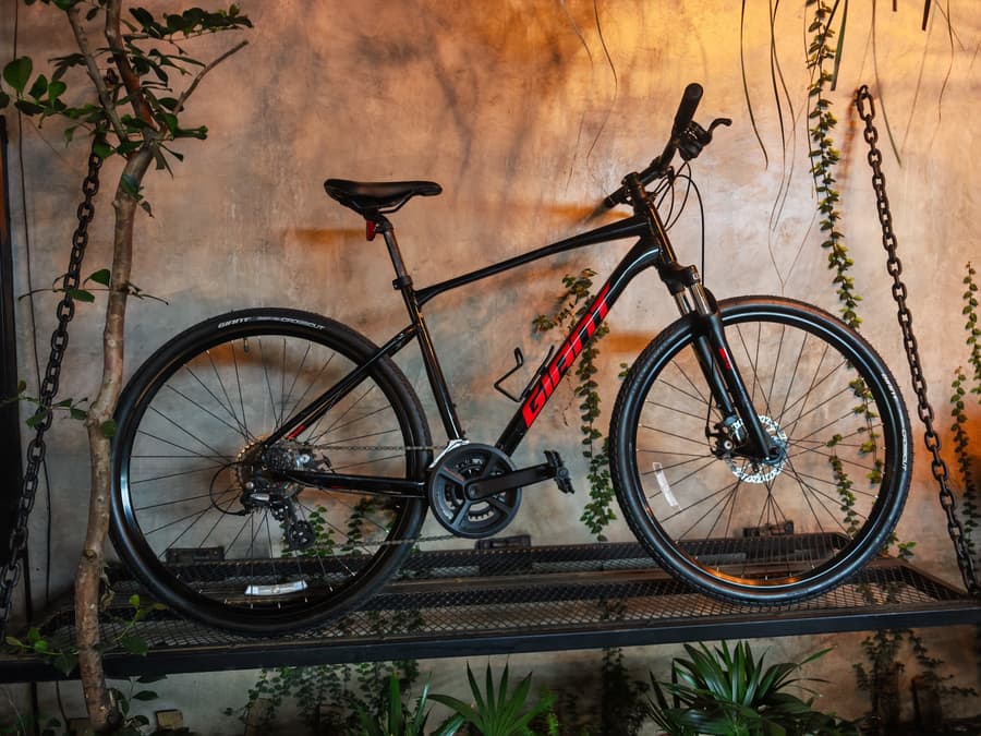 Giant ROAM Urbana, foto 1