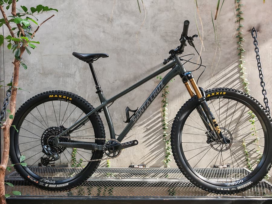 Santa Cruz CHAMELEON AL KASHIMA, foto 1